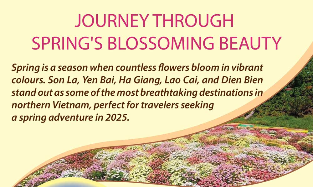 Journey through spring's blossoming beauty
